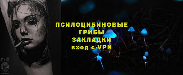 дмт Заводоуковск