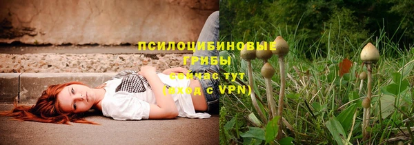 бутират Зеленодольск